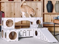 Nous fabriquons nous-mêmes une maison de chat: solutions simples et choix de matériaux + 59 photos d'idées