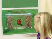 Mangeoire à oiseaux à base de matériaux improvisés: idées simples et originales (81 photos + vidéo)
